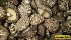 ������ұ80������ѧ���ֻ�����ũ�¸�