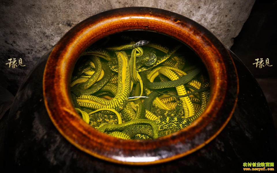 ������Ұ������������׬����Ԫ