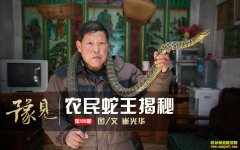 ������Ұ������������׬����Ԫ