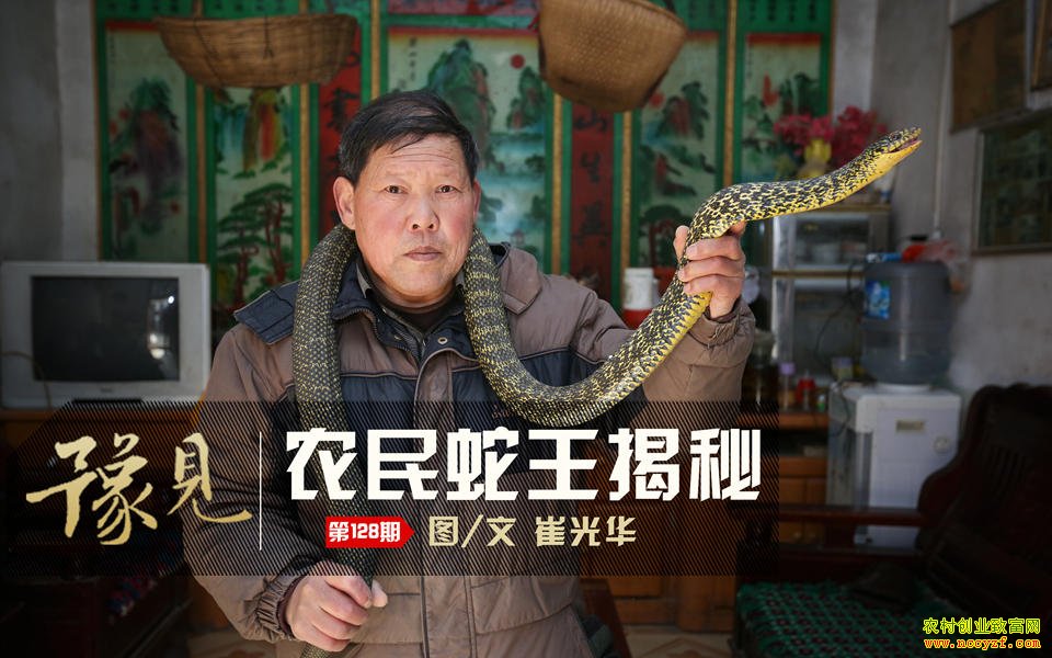 ������Ұ������������׬����Ԫ