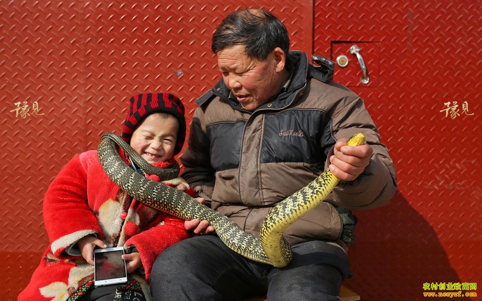 ������Ұ������������׬����Ԫ