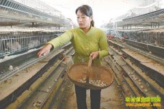 ɽ�����ƶ�����ͥԺ������������16��Ԫ