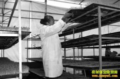 �����ϴ�������ֲѿ�����������ǧԪ