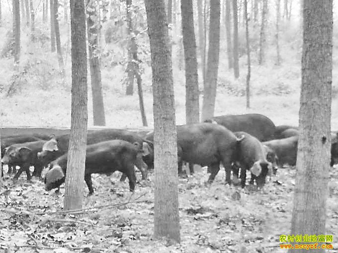 ������ګ������ΰ����������Ǯ��������