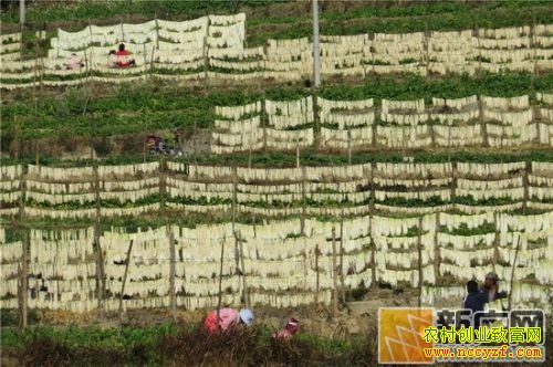 ����ʯ���ذװ�С�ܲ�ɹ���¸�����������