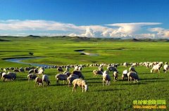 �½���������Ů��ѧ�������ڹ����������¸�֮·