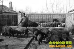 ɽ��������������Ұ����ι�������⡡���²�׬Ǯ