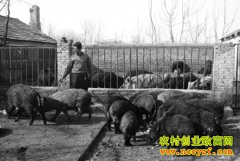 ɽ��������������Ұ����ι�������⡡���²�׬Ǯ