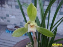 [ũ�����]�����ļ�ͥ����������Ƶ