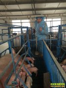 ɽ����������׳�����¸������������ƶ