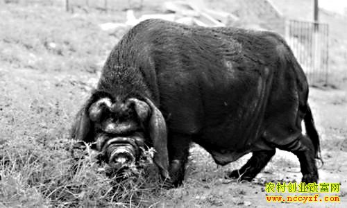 ��������·����ֳ��ü�����¸�