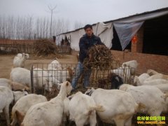 ���ݴ�Ф������ɽ����������¸�