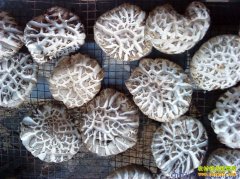 [ũ�����]�������༼����Ƶ