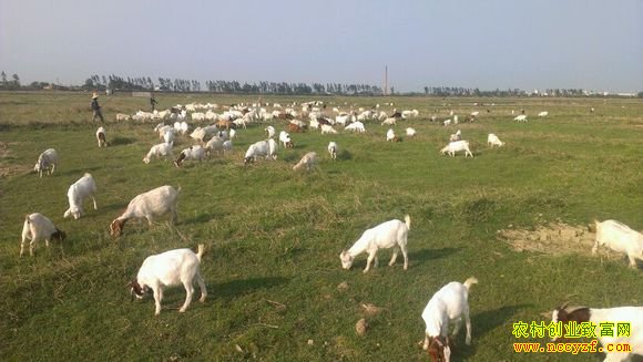 ����׬Ǯ��