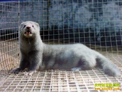 [�۽���ũ]�г���ů������