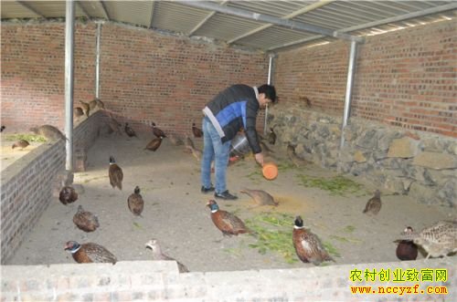 ����������Τ������ɽ����֯�¸���