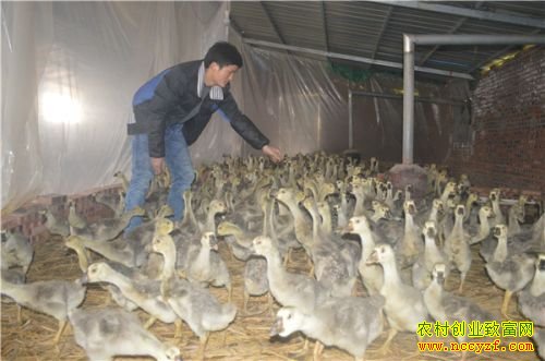 ����������Τ������ɽ����֯�¸���