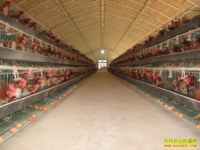 ��ȫ��Ч������Ī��ͨ�绻��