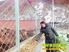 ����Ӫ�����������¹�¸���