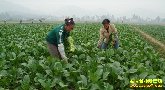 [�۽���ũ]��ô������׬Ǯ�ࣺ����������