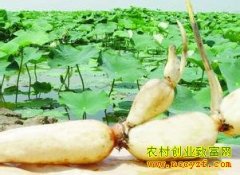 �ӱ�����300Ķ��źĶ�������Ԫ����