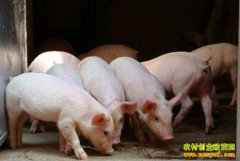 ����׬Ǯ���³�̬��������ҵ·�ںη�