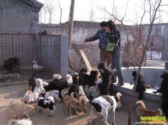 ���ü�����õ���ֳʱ��