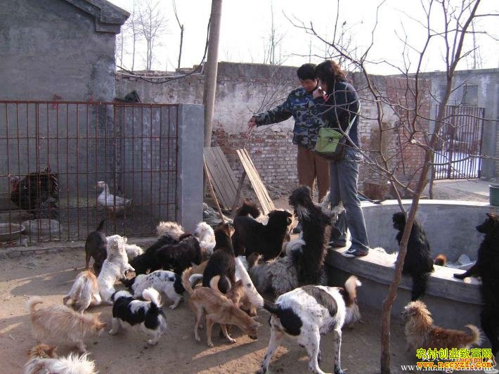 ���ü�����õ���ֳʱ��