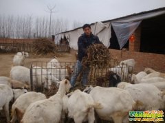 ��������׬Ǯ ������ʲôƷ����׬Ǯ