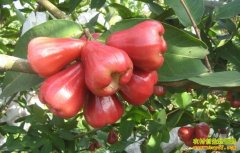 ������׬Ǯ���Ĵ������ӹ���������Ķ׬3��