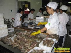 [ũ�����]��������ʳƷ�ӹ�������Ƶ