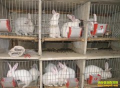 ����ѡ��̡�����ã�