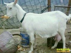 [ũ�����]��ɽ��ɽ����ֳ����