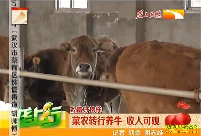 ��ֳ�¸���������ũת����ţ ����ɹ�