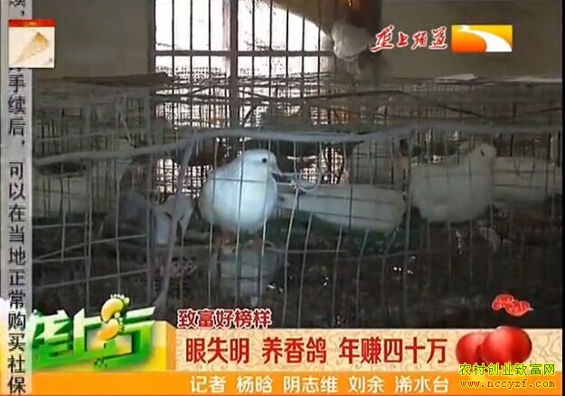 ��ֳ�¸���������ʧ�� ����� ��׬��ʮ��