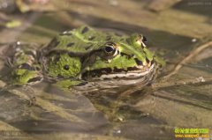 �Ĵ��½���80����Ů��������ֳ������׬8��