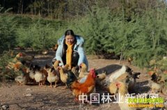 ����®������ϼ���������� ���ġ����¸���