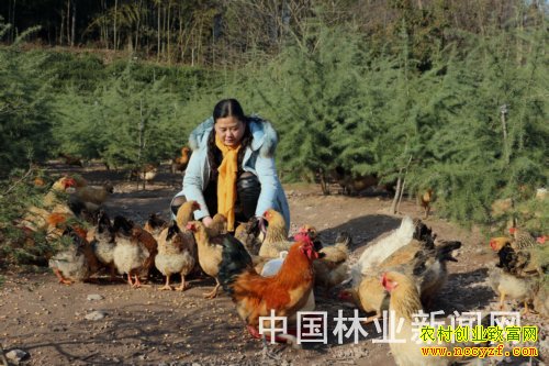 ����®������ϼ���������� ���ġ����¸���