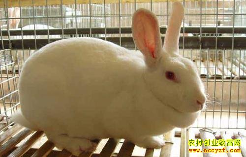 ����̡��ͼƬ