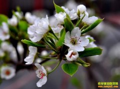 Ϊʲô����ֻ�����������