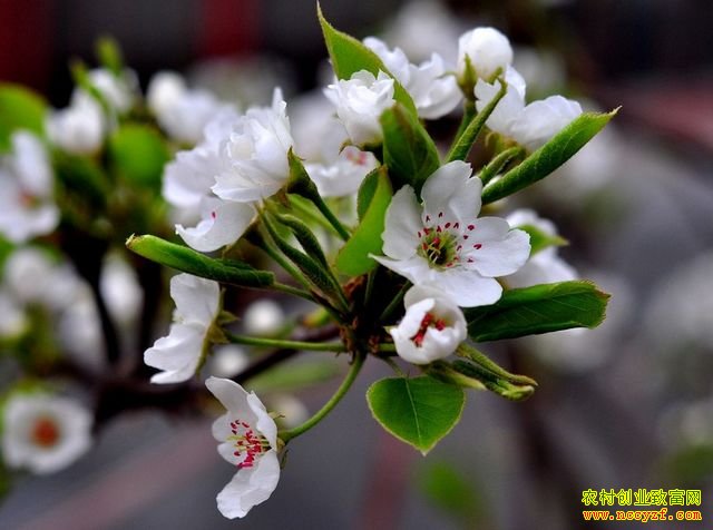 Ϊʲô����ֻ���������