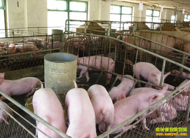 2016����һ���ļ�������ҵ��ɶӰ��