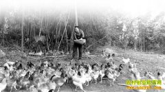 �����ϴ�������ʦ������������������ġ�