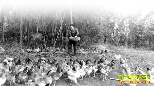 �������ڸ���ιʳ