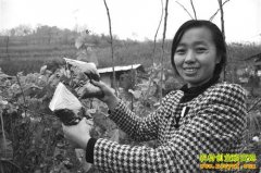 ����ǭ���ں��޼ӹ�ɣҶ��ǰ������