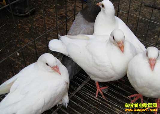 ��������������ֳ��������¸�·