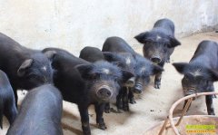 �ຣ�������������ֳ�����������¸���