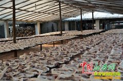 �����촨�������Ѽ����Ѽ��׬����Ԫ