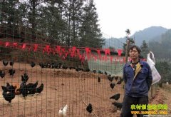 �Ĵ��Ͻ��������ֳ�̿ǵ������������¸�