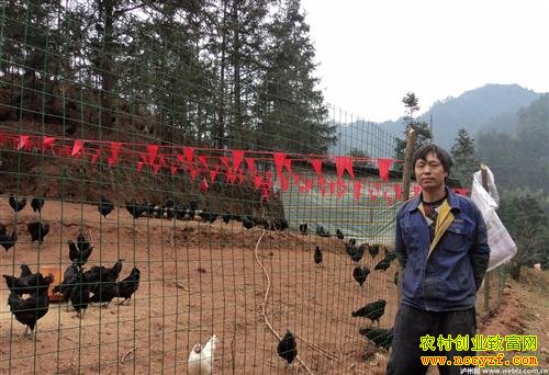 �Ĵ��Ͻ��������ֳ�̿ǵ������������¸�